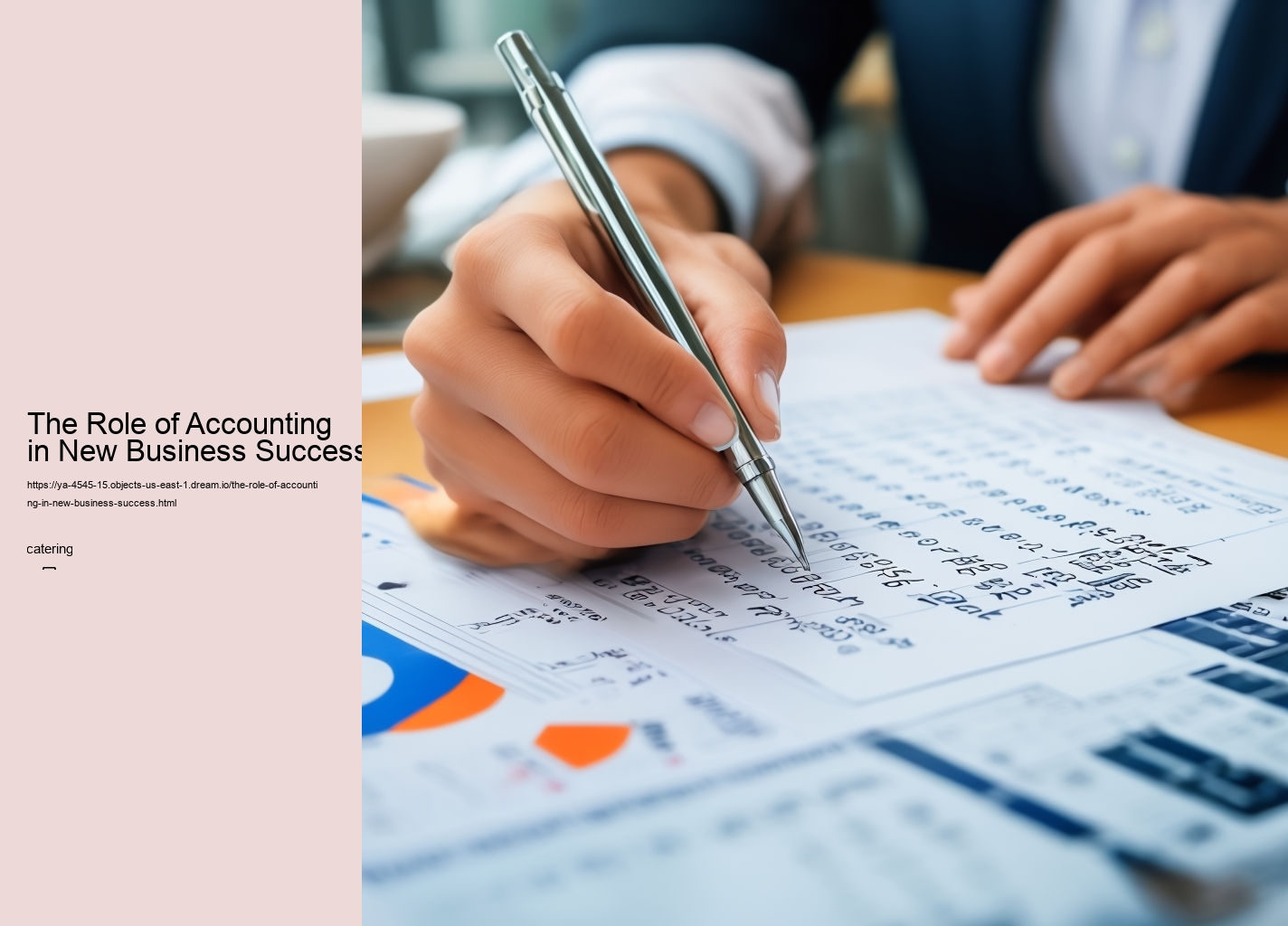 The Role of Accounting in New Business Success